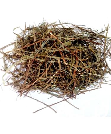 Raw Herbs/Jadi Booti Bhumi Amla Panchang Bhumi Aamla Bhoomi Awla Phyllanthus Nirpuri (100gm) 100 g (Pack of 1) - Buy Online on GoSupps.com