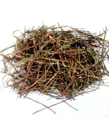 Raw Herbs/Jadi Booti Bhumi Amla Panchang Bhumi Aamla Bhoomi Awla Phyllanthus Nirpuri (250gm) 250 g (Pack of 1)