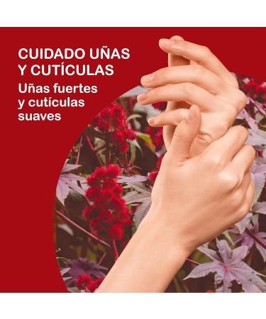 Cold-Pressed Castor Oil 500ml - Eyelash Serum Hair Growth Beard & Eyebrow Care - Accelerate Hair Growth & Reduce Hair Loss - Buy Online on GoSupps.com