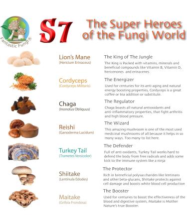 Super 7 mushroom extract powder - Fantastic Fungi -250 grams-Lion's Mane Reishi Turkey Tail Cordyceps Shiitake Chaga and Maitake - Value Pack (250 Grams) 250 g (Pack of 1) - Buy Online on GoSupps.com