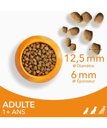 Iams Vitality - Dry Dog Food for Adult Dogs Small and Medium Breeds - Promotes Health and Vitality - Low in Fat - With Fresh Chicken - Free of: GMOs Colouring Artificial Flavouring Wheat - 3 kg - Buy Online on GoSupps.com