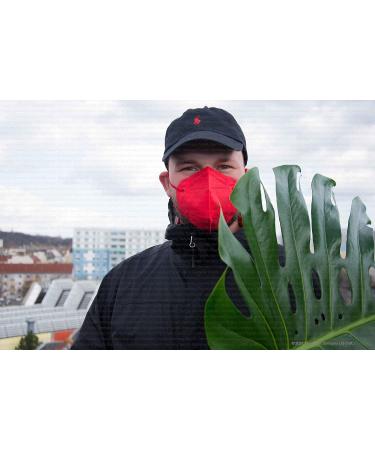 Buy Promedicalcare Mundship FFP2 Colorful Masks - 10 Pack Mixed Colors for Ultimate Mouth Protection - Buy Online on GoSupps.com