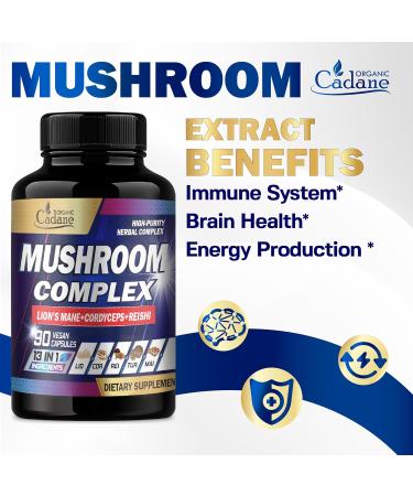 Organic Cadane Mushroom Complex Supplements - Brain Health Immune System Memory & Energy Production - 13in1 with Lions Mane Mushroom Bacopa Reishi & More - 90 Vegan Capsules - Buy Online on GoSupps.com