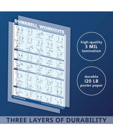 Quickfit Dumbbell Training & Body Weight Exercise Poster - Laminated 2 Diagrams 45.7 x 68.6 cm - Ideal Fitness Routine Guide for Home Workouts - Buy Online on GoSupps.com