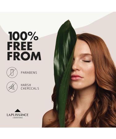 Keratin Shampoo for Dry Damaged Hair | Moisturizing Anti Frizz Shampoo for Color Treated Hair | Shine & Strength 10 fl oz - Buy Online on GoSupps.com