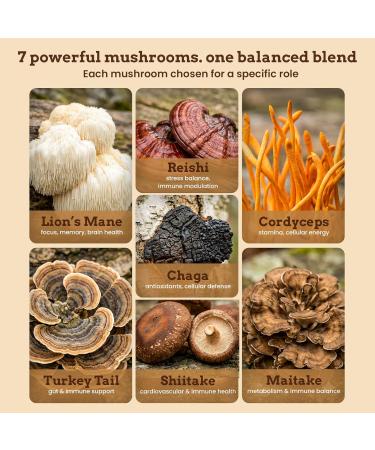 Life Force 7 Mushroom Blend | 7 Premium Fruiting-Body Extracts 12:1 Concentration | Organic Hardwood-Grown | 1g Daily Serving for Focus Immunity Energy & Healthy Aging (150 g (Pack of 1)) 2.11 Ounce (Pack of 1) - Buy Online on GoSupps.com