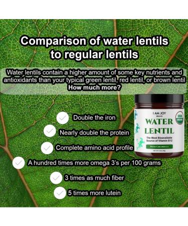 Water Lentil Protein Powder | Organic Duckweed with B12 & Chlorella | Sugar-Free Energy Booster | Sustainably Farmed | 100% Recyclable 10oz - Buy Online on GoSupps.com