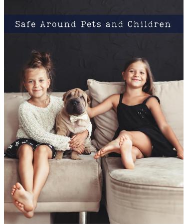 Bleu for Men Natural Hair & Body Mist Spray Pure Essential and Fragrance Oils Alcohol-Free Handmade in California 0.5Fl Oz Bleu 0.5 Fl Oz - Buy Online on GoSupps.com