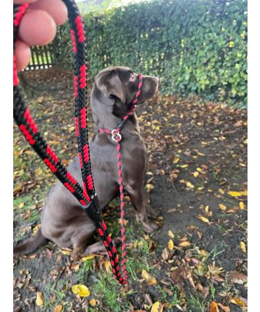 No More Pulling! Anti-Pull Field Figure 8 Halter - One Size Fits All, Super Soft Braided Nylon - Green-Black - Buy Online on GoSupps.com