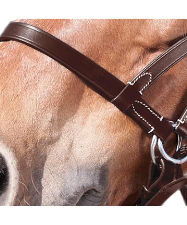 Shop WALDHAUSEN Star Bitless Bridle for Warmbloods Brown | International Shipping Available - Buy Online on GoSupps.com