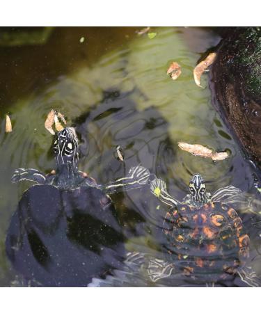 JBL Proterra CRUSTARUS 2 5l - Buy Online on GoSupps.com