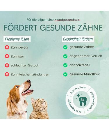 Pawlie's Dental Spray for Dogs | Natural Tartar Remover & Bad Breath Care | Vegan Sugar-Free Tooth Spray for Healthy Muzzle Hygiene - Buy Online on GoSupps.com