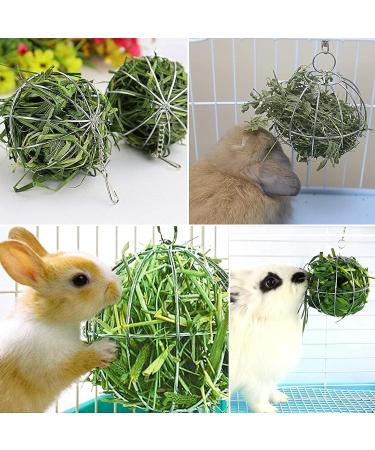 Capricious 3-Piece Stainless Steel Pet Grass Hay Ball Dispenser | Ideal for Rabbits Hamsters Chinchillas Guinea Pigs & Turkeys - Buy Online on GoSupps.com