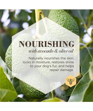 Burt's Bees Care Plus+ Nourishing Leave-In Conditioner Spray for Dogs - Avocado & Olive Oil - 12 fl oz - Buy Online on GoSupps.com
