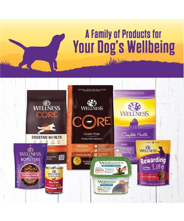 Wellness Thick & Chunky Natural Canned Dog Food - Lamb & Beef Stew, 12.5 oz (Pack of 12) - Buy Online on GoSupps.com