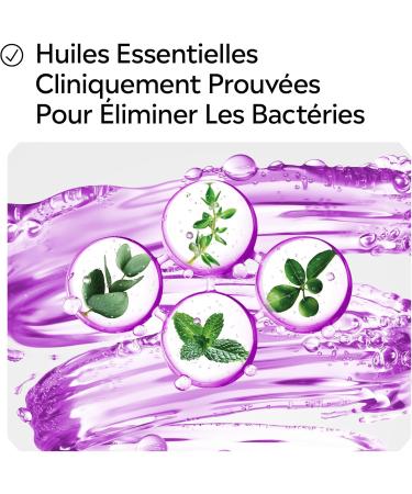 Listerine Bain de Bouche Quotidien Total Care (bouteille de 500 ml) Soin bucco-dentaire protection mail 10 b n fices en 1 Haleine fra che durable 500 ml (Lot de 1) - Buy Online on GoSupps.com