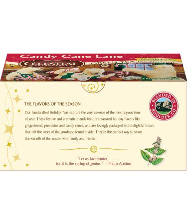 Candy Cane Lane Lot de 20 sachets de th d caf in Vert - Buy Online on GoSupps.com
