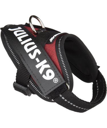 Buy IDC Powerharness 3XS/Baby 1 in Burgundy - Premium Quality International Shipping - Buy Online on GoSupps.com