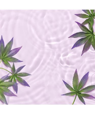 Love Beauty and Planet Hemp Seed Oil Hydrating Conditioner - Vegan, Cruelty-Free Hair Care 13.5 oz - Buy Online on GoSupps.com