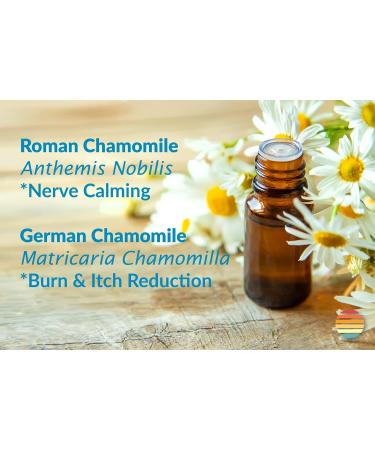 Sol-Aid 100% Natural ACV Sunburn Care - Aloe-Free Spray for Damaged Skin Relief - 2oz International Shipping Available - Buy Online on GoSupps.com