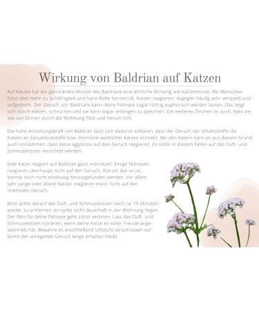 Bt Tobias Brunner Cuddly Petzen Fragrance & Valerian Pillows for Cats - 2 Piece Set | 4cats Made in Germany - Buy Online on GoSupps.com