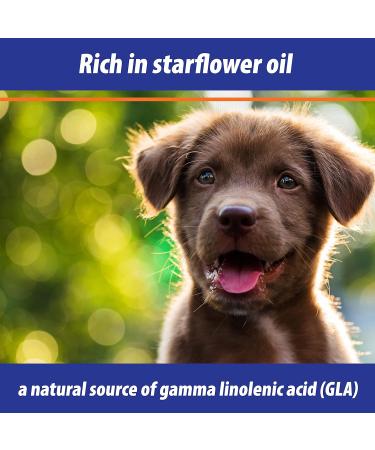 Exmarid Dry Skin Formula Supplement for Dogs with Starflower Oil - Moisture for Dry and Itchy Skin Relief Promotes Healthy Skin (150ml) - Buy Online on GoSupps.com