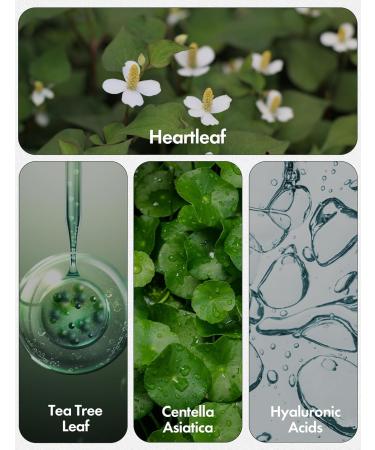 Tea Tree Moist Soothing Foaming Facial Cleanser | Korean Beauty Face Wash for Oily Skin | Hydrating Face Wash with Tea Tree Oil - 4.05 fl oz - Buy Online on GoSupps.com