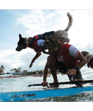 EzyDog Premium DFD - Adjustable Dog Life Jacket with Reflective Trim - Red Large - Buy Online on GoSupps.com