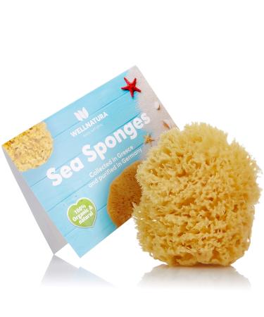 Sea Sponge for Bathing - 100% Natural - 4  (Large) - Soft  Sensitive and Eco-Friendly - Especially Suited for Adults - Natural Sponge  sea sponges for Bathing  Natural sponges for Bathing