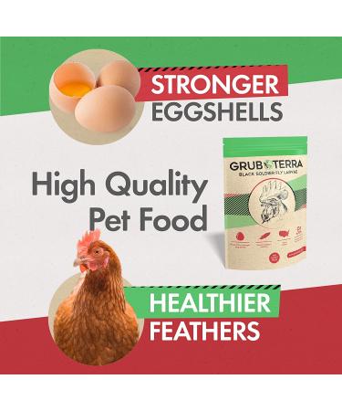 GrubTerra Natural Black Soldier Fly Larvae Chicken Treats Made in USA & Canada | 1lb Pack - 75x More Calcium | For Chickens, Ducks, & Wild Birds - Buy Online on GoSupps.com