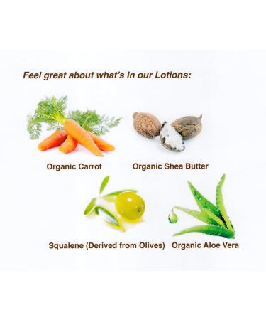 Buy SPF 0 Organic Carrot Lotion (6 oz) - Hydrating & Natural Sun Protection - International Shipping Available - Buy Online on GoSupps.com