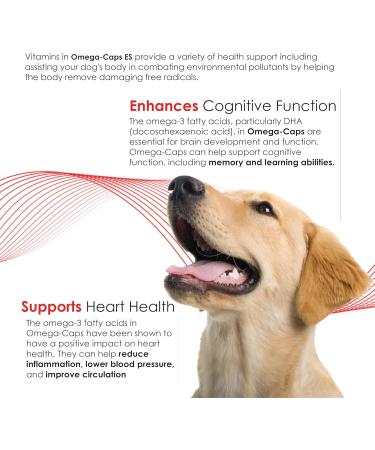 Omega-Caps Extra Strength for Large Breeds-Vet Formulated for Healthy Radiant Skin & Coat While Reducing Excess Shedding. Omega 3 for Immune System Support Easy to Dose 180 Soft Gel Capsules - Buy Online on GoSupps.com