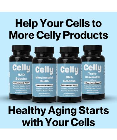 Celly Senolytic Complex | Longevity Supplement for Healthy Aging and Cellular Health with Quercetin and Fisetin | Targets Senescent Cells | 30 Servings | Non-GMO & 3rd Party Tested - Buy Online on GoSupps.com