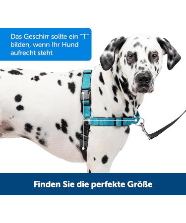 Petsafe Easy Walk Deluxe Harness & 1.8m Leash - Tear-Resistant Dog Running Gear | Small Ocean Blue/Black - Buy Online on GoSupps.com