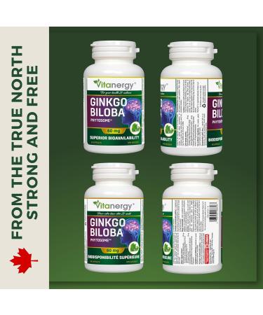 Vitanergy Ginkgo Biloba Enhanced Bioavailability for Cognitive Function & Peripheral Circulation Support 60mg 60 Capsules - Canadian Made - Buy Online on GoSupps.com