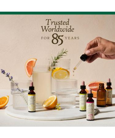 Bach Original Flower Remedies Walnut - Adapt to Change - Natural Homeopathic Flower Essence for Emotional Balance - Vegan Gluten Free Sugar Free - 20mL Dropper - Buy Online on GoSupps.com