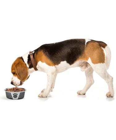 PetRageous 13097 Fiji Stainless Steel Non-Slip Dog Bowl - Grey, Medium | Dishwasher Safe - Buy Online on GoSupps.com