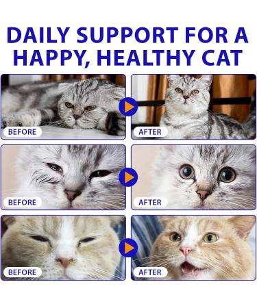 Lysine for Cats L-Lysine for Cat Immune Support Allergy Relief Sneezing & Runny Nose with Colostrum Taurine Vitamins - Roast Chicken Flavor - 60ml/2oz - Buy Online on GoSupps.com