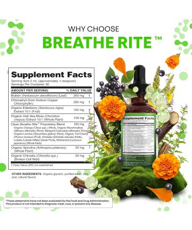 Organic Mullein Liquid Drops With Chlorophyll for Lung Detox Plus Irish Sea Moss Spirulina Licorice Tart Cherry Lobelia Motherwort And Elderberry For Men Women Health Supplement Vitamin (2) - Buy Online on GoSupps.com