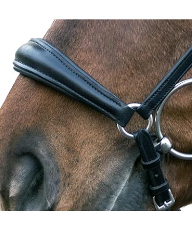 Shop Star Waldhausen Bridle Hannover in Black for Thoroughbreds | International Shipping Available - Buy Online on GoSupps.com