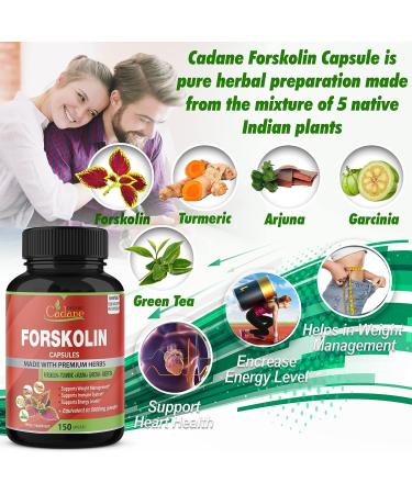 Forskolin Extract Capsules 5000mg - 5 Month Supply | With Turmeric, Arjuna, Garcinia Cambogia & Green Tea | Nourishing Diet Support and Energy Booster - Buy Online on GoSupps.com