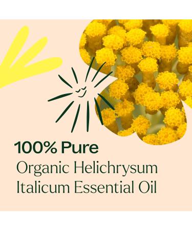 Plant Therapy Organic Helichrysum Italicum Essential Oil 100% Pure USDA Certified Organic Undiluted Natural Aromatherapy Therapeutic Grade 5 mL (1/6 oz) - Buy Online on GoSupps.com