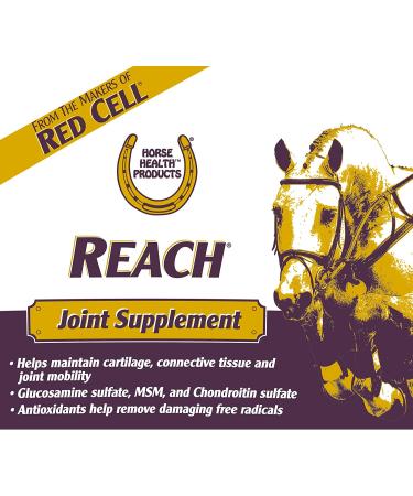 Horse Health Reach Joint Pellets 2.81 lbs - Support Horse Joint Health - Buy Online on GoSupps.com