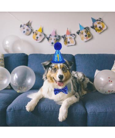 Shop Dher Pet Birthday Set - Gold Sequin Hat & Decor for Dogs & Cats - Festive Party Accessories (Blue) - Buy Online on GoSupps.com