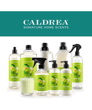 Caldrea Biodegradable Dish Soap 16 oz | Soap Bark & Aloe Vera | Ginger Pomelo Scent - Buy Online on GoSupps.com