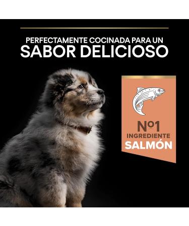 Purina Proplan Medium Puppy Derma cahorro salmon Pack of 1 x 3kg Total 3kg - Buy Online on GoSupps.com