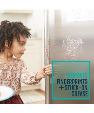 STAINMASTER Stainless Steel Cleaner 13oz | Premium Shine & Protection | Best International Shipping - Buy Online on GoSupps.com