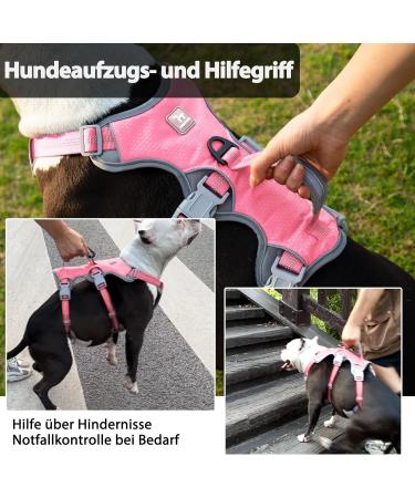 Huntboo Dog Safety Dishes & Reflective Harness for Small Dogs - Adjustable Waterproof Vest in Pink (Small Pack of 1) - Perfect for Walks & Training - Buy Online on GoSupps.com