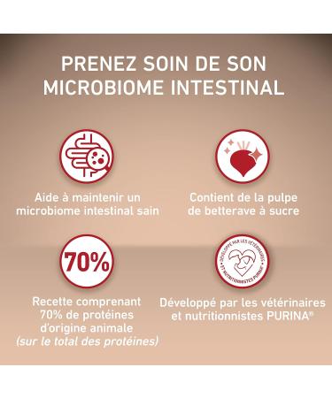 PURINA ONE Mini/Small 10kg Grain Free Chicken Dry Food | Small Breed Adult Dogs | 1.2kg Bag - Buy Online on GoSupps.com