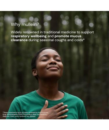 Dr Sosnowski's Mullein Drops for Lungs 120ml | 1200mg High Strength Mullein Leaf Extract with 600mg Licorice Root for Daily Routine Flavonoid Support Saponin Balance | 2 Months Supply - Buy Online on GoSupps.com